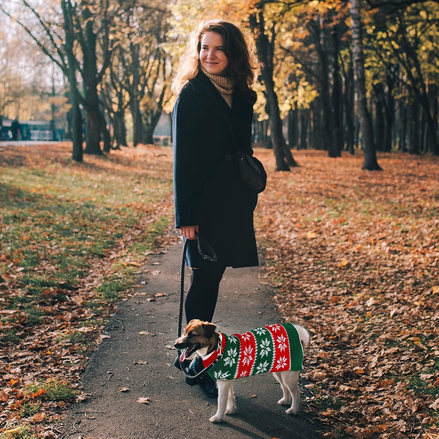 2 Pack Dog Christmas Dress Warm Dog Xmas Sweater Pet Christmas Clothes Stripes Dog Knit Sweater Dress Dog Winter Warm Pullover with Snowflakes and Christmas Flowers (S)