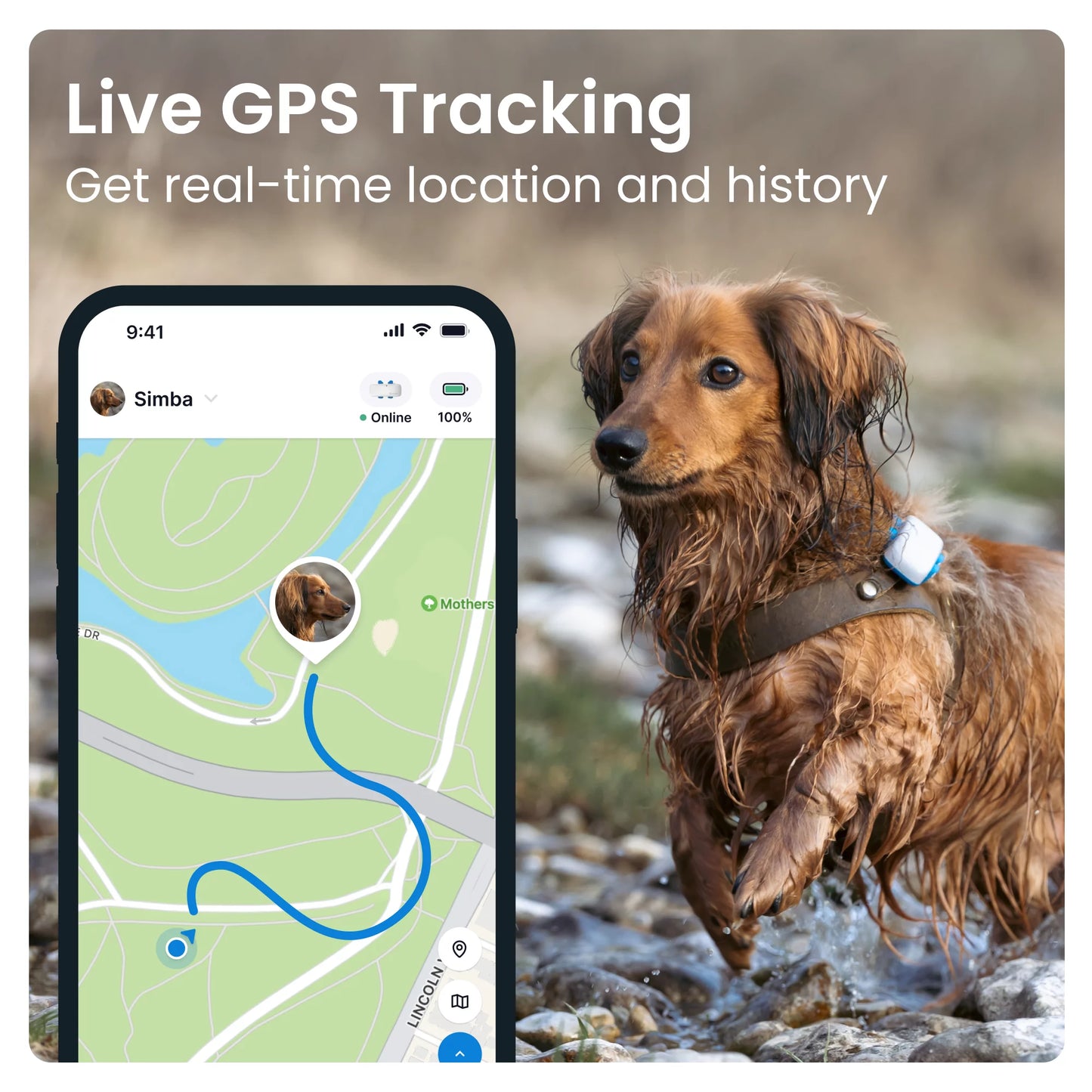 Revolutionary Dog GPS Tracker - Track Your Pet's Adventures and Monitor Activity (Fits Any Collar, Dark Blue)